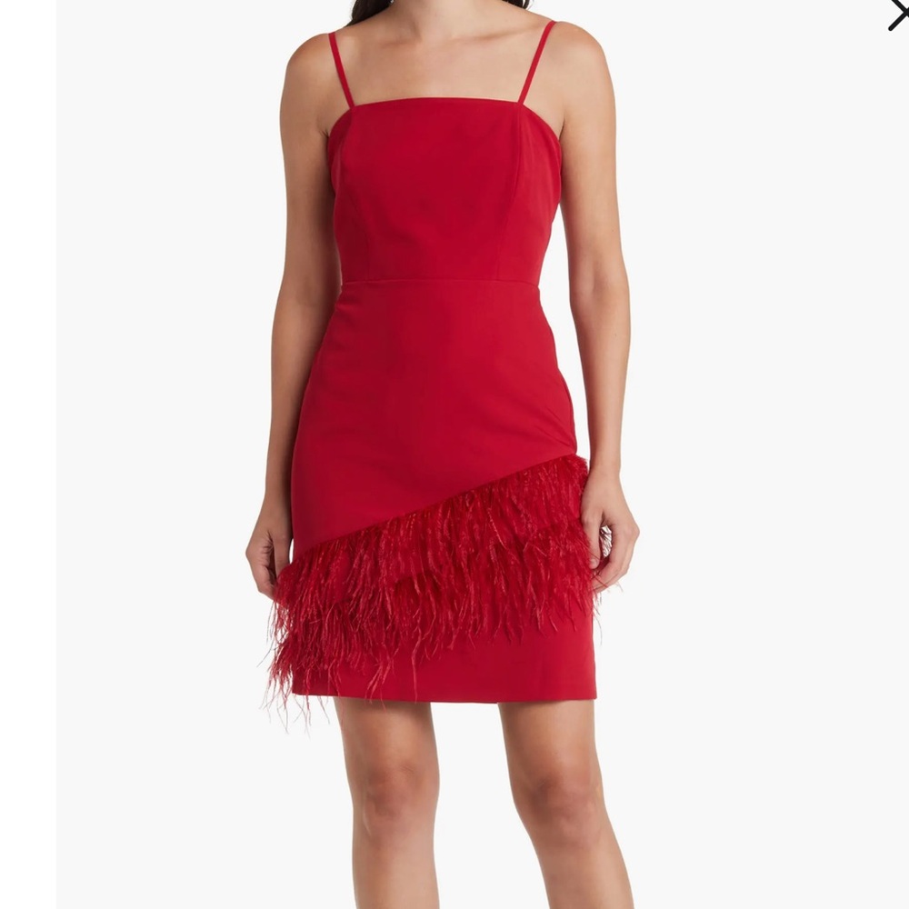 Sam Edelman Feather Dress